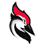 1717652277-Woodpecker.co_.png